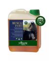 Muscle Energy Boost (2,5 l dagligt produkt)