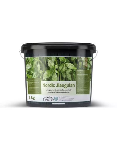 Jiaogulan (1kg) Nordic