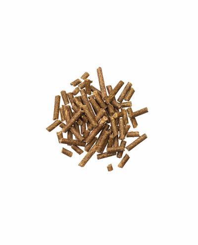 Bierhefe Pur (10kg) Agrobs