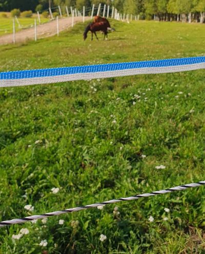 Olli blå og hvid hegnstape 12mm/200m