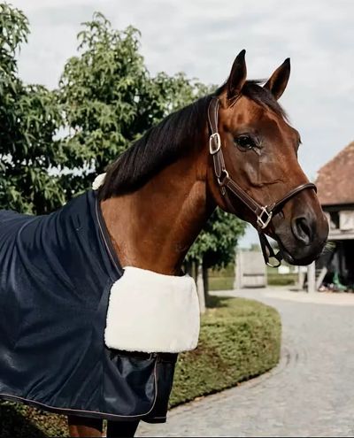 Brystbeskyttelse Hest BIB brystbeskyttelse Fåreskind Kentucky Brystbeskyttelse Hest BIB brystbeskyttelse Fåreskind Kentucky