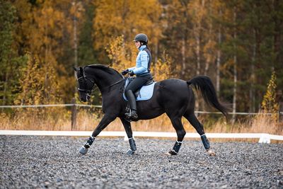 Træningsrum (1 times træningssession)